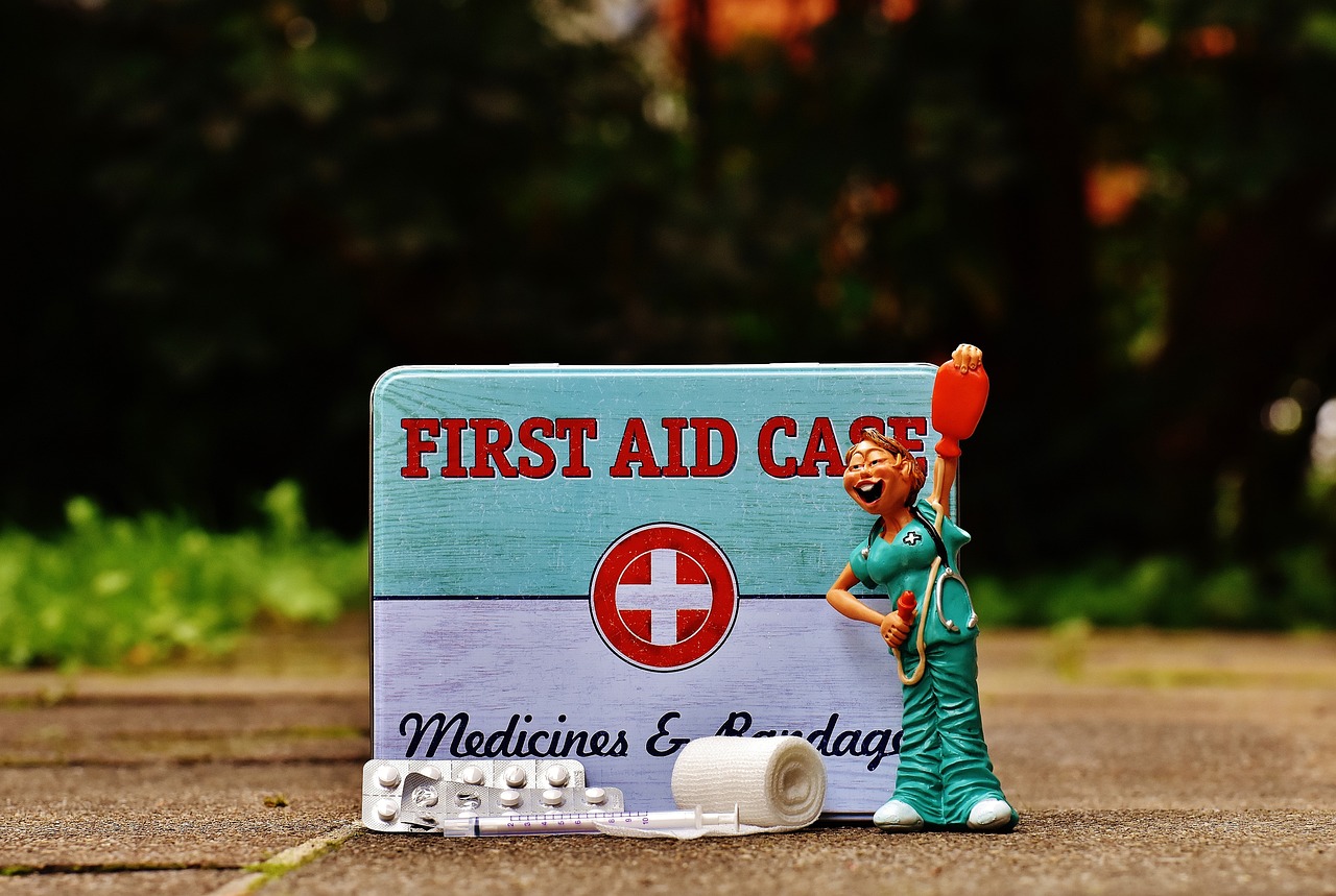 How to Choose the Right First Aid Class for Pet Owners